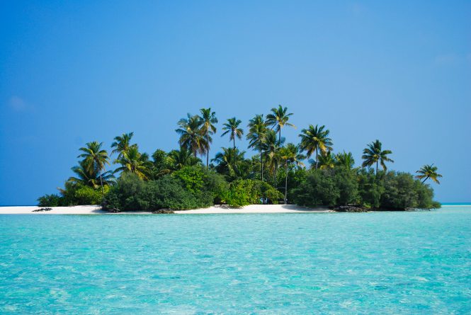 Malediven - Rhihveli Baby Island (Vogelinsel)